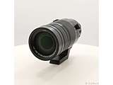 �k�W�����N�i�l LEICA DG VARIO-ELMAR 100-400mm�^F4.0-6.3 II ASPH.�^POWER O.I.S. H-RSA100400