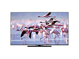 �k�W���i�l �t���e���r REGZA(���O�U)  65Z670K(R) �m65V�^ /Bluetooth�Ή� /4K�Ή� /BS�ECS 4K�`���[�i�[���� /YouTube�Ή��n