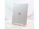 �k���Õi�l iPad ��9���� 256GB �V���o�[ MK4H3J�^A docomo���b�N����SIM�t���[ �m10.2�C���`�t���^A13-Bionic�n