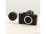 �k���Õi�l LUMIX G100D K�L�b�g �W���Y�[�������Y�L�b�g DC-G100DK-K