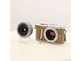�k���Õi�l OLYMPUS PEN E-PL9 14-42mm EZ�����Y�L�b�g �u���E��