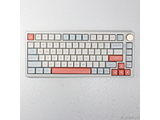 �k���Õi�l N75 �p��z�� �W�F���[�I�����W N75ORANGE