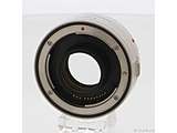 �k���Õi�l Canon EXTENDER EF 1.4xIII