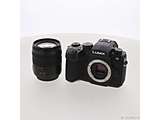 �k���Õi�l LUMIX G99II ���{���Y�[�������Y�L�b�g DC-G99M2H