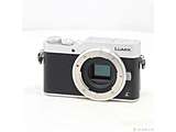 �k���Õi�l LUMIX DC-GF9 �{�f�B �V���o�[