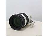 �k���Õi�l FE 50-150mm F2 GM SEL50150GM