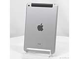 �k���Õi�l iPad mini 4 128GB �X�y�[�X�O���C MK762J�^A au���b�N����SIM�t���[ �m7.9�C���`�t���^Apple-A8�n