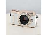 �k���Õi�l LUMIX DC-GF10 �{�f�B �z���C�g