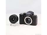 �k���Õi�l LUMIX G100D K�L�b�g �W���Y�[�������Y�L�b�g DC-G100DK-K