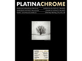 PLATINACHROME TE-WASHI ICHIBEI 16x20C` 10@v`iN[ 荗a sq PLATINACHROME TE-WASHI ICHIBEI  433420 m10 /n