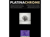PLATINACHROME DIGITAL FILM 140 11x14C` 25 v`iN[ fW^tB PLATINACHROME DIGITAL FILM 140  433403 m25n