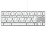 キーボード USB-Aハブ搭載 Wired Aluminum Tenkeyless keyboard for PC(Windows11対応) シルバー FK308PCS-JP ［有線 /USB］