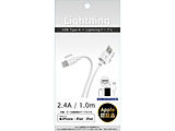 LightningP[u 1.0m  zCg CK-L10WH