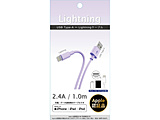 LightningP[u 1.0m  p[v CK-L10PU
