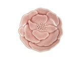 �`�iKatachi�j �{�^�� ���M ��8cm  ����