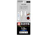 USB-C to Lightning�����O�u�b�V���P�[�u�� 1.0m  �z���C�g TSC212LC10W �mUSB-C �� Lightning�n