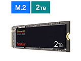 SDSSDXPM2-2T00-J25 (SSD/M.2 2280/2TB)