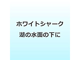�z���C�g�V���[�N �΂̐��ʂ̉��� DVD