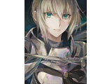  Fate/Grand Order ]_~̈Lbg- O WanderingG Agateram SY DVDysof001z