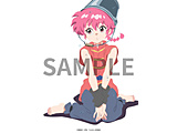 1/2 DVD BOX Vol.1 SY