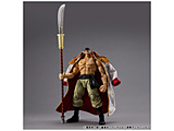 ���@���A�u���A�N�V���� Heroes ONE PIECE�i�����s�[�X�j �g���Ђ��h �G�h���[�h�E�j���[�Q�[�g Ver.1.5