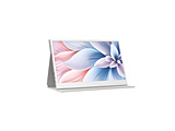 USB-C�ڑ� ���o�C�����j�^�[  �z���C�g J156U2/W �m15.6�^ /�t��HD(1920×1080) /���C�h /60Hz�n