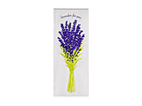 ���^�[�Z�b�g Hakuoshi Botanical ���x���_�[ R0452504
