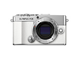 OLYMPUS PEN E-P7 {fB[ ~[XJ  zCg  m{fBṔn
