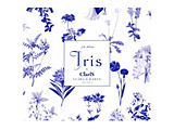ClariS/ Iris 񐶎Y ysof001z