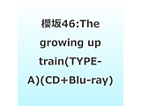 �N��46/ The growing up train TYPE-A