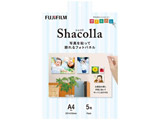 VR(shacolla) ǃ^Cv 5pbN A4TCY