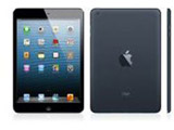 iPad mini 32GB ubN&amp;X[g MD529J^A Wi-Fi    m32GBn