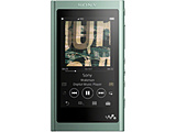 �n�C���]�E�H�[�N�}�� WALKMAN A�V���[�Y 2018�N���f���m�C���z���͕t�����Ă��܂���n NW-A55 GM �z���C�Y���O���[�� [16GB/�n�C���]�Ή�]