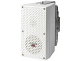 全天候型スピーカー　RAMSA （2ウェイコンパクトタイプ） WS-LB301 【受発注・受注生産商品】