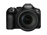 EOS R6 Mark IIIERF24-105 L IS USM YLbg ~[XJ    mY[Yn yȍ~׎̂͂z