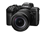 EOS R8 Mark II�ERF24-105 IS STM �����Y�L�b�g �~���[���X���J����    �m�Y�[�������Y�n �y�������ȍ~���׎���̂��͂��z