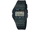 CASIO CollectioniJVI RNVjfW^tf  O[ F-91W-3JH