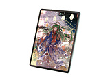 13C`iPad AiriM2/M3jp tB Sn ˖h~ Pg^Cv   TB-A24XFLAPLL