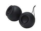 SP-P10CUSBBK PCXs[J[ USB-C / USB-Aڑ Stina(XeB[i) ubN mUSBd /2.0chn y864z