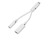 �^�C�vC �C���z���W���b�N �ϊ� ( USB-C to 3.5mm �X�e���I�~�j�W���b�N ) DAC ���� ���ϋv PD�Ή� USB�[�d�|�[�g�t �ʘb�Ή� �y USB Type-C �����o�͑Ή� iPhone Android iPad MacBook �� �z �z���C�g  �z���C�g