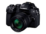 LUMIX G99D ミラーレス一眼カメラ 標準ズームレンズキット  ブラック DC-G99DH-K ［ズームレンズ］