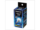 LEDd `d^Cv pbNv~A  LDA7DGE17K60ESW2F mE17 /ʓd` /60W /F /1 /Lz^Cvn