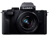 LUMIX G100D K配套元件微单黑色DC-G100DK-K[变焦距镜头]
