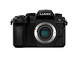LUMIX G99II ~[XJ  ubN DC-G99M2 m{fBṔn