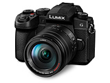 LUMIX G99II YLbg ~[XJ  ubN DC-G99M2H mY[Yn
