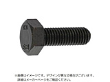 SUNCO �O���z���C�g 8.8 �Z�p�{���g �S�l�W 12×55�i1�{���j