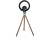 kWil LOOZER [U[ Ht@@ C@  BLACK/WOOD SFT01 mKpF12n