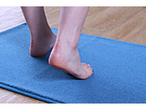����������ƃo�X�}�b�g 35×50cm  �u���[