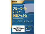 iiyama LEVEL-17FG180 [17.3�C���`(16:9)] �@��Ή� �t���ی�t�B���� �u���[���C�g�J�b�g ���˖h�~ �݊��i   rt-cblm-ntpc-k0001464313