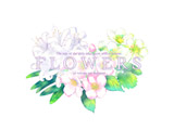 FLOWERS OST AUTOMNE ysof001z